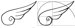 simboloveloxfibonacci3